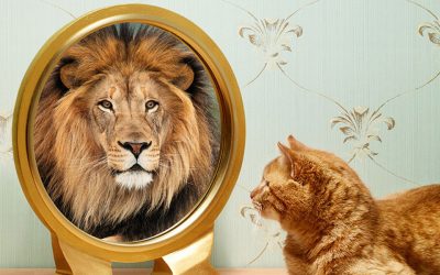 Self Esteem- Why Is It So Important?