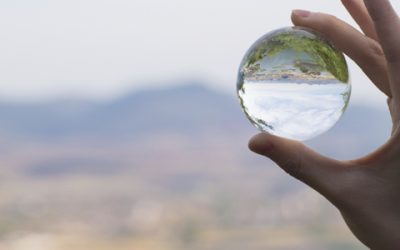 Transparency In Expression Is A Sign Of Evolution